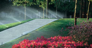 Sistemas automáticos de irrigação: tudo o que você precisa saber