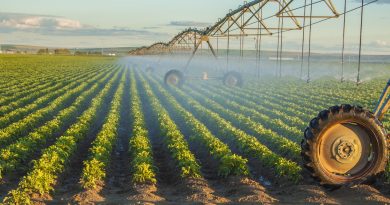 Agricultura irrigada - conheças os métodos e vantagens