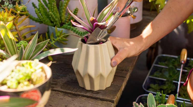 Recipiente ideal - conheça mais sobre os vasos para jardim